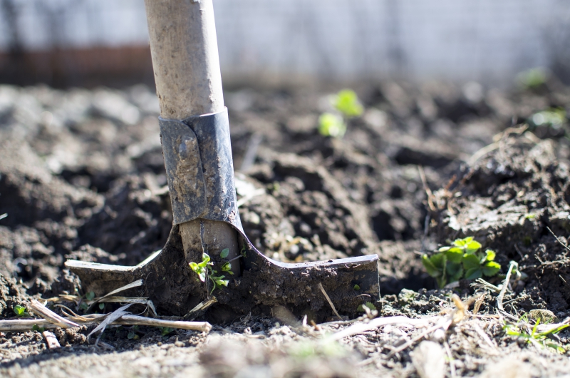 jardinerie-MENTON-min_equipment-2047314